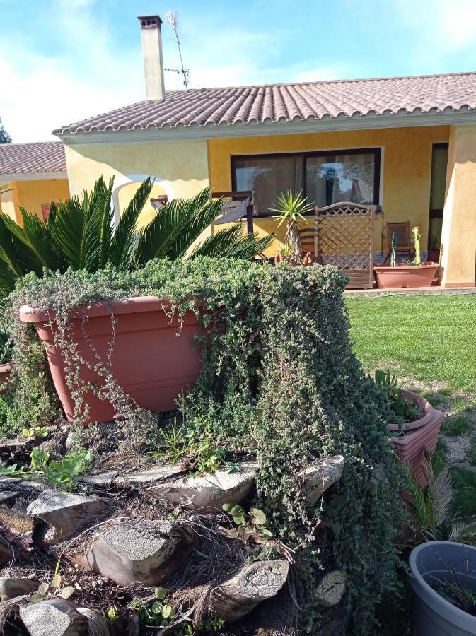 La Luce Del Sinis Vila Riola Sardo Exterior foto