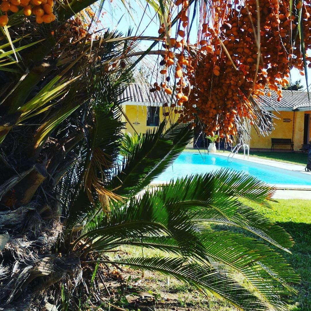 La Luce Del Sinis Vila Riola Sardo Exterior foto